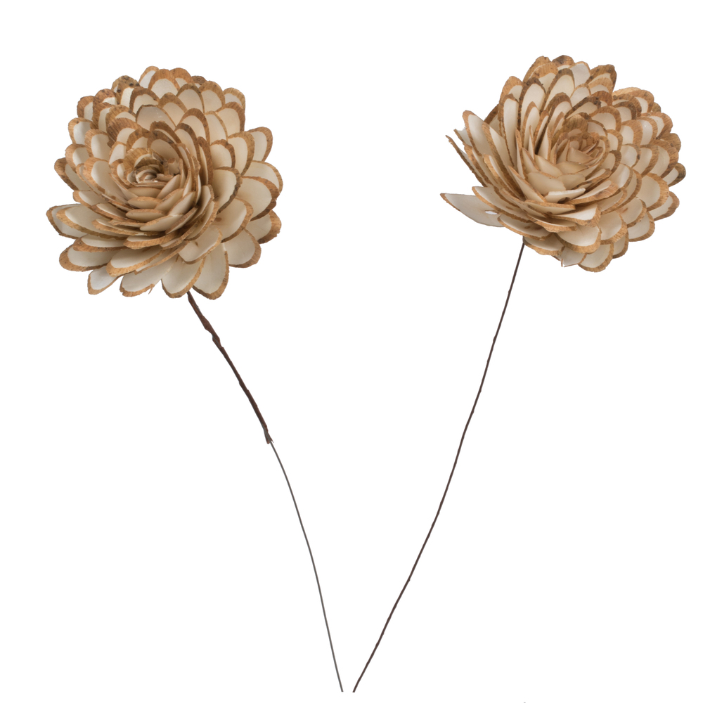 Vickerman 4" Natural Botanicals Dried Sola Flower on Wire Stem
