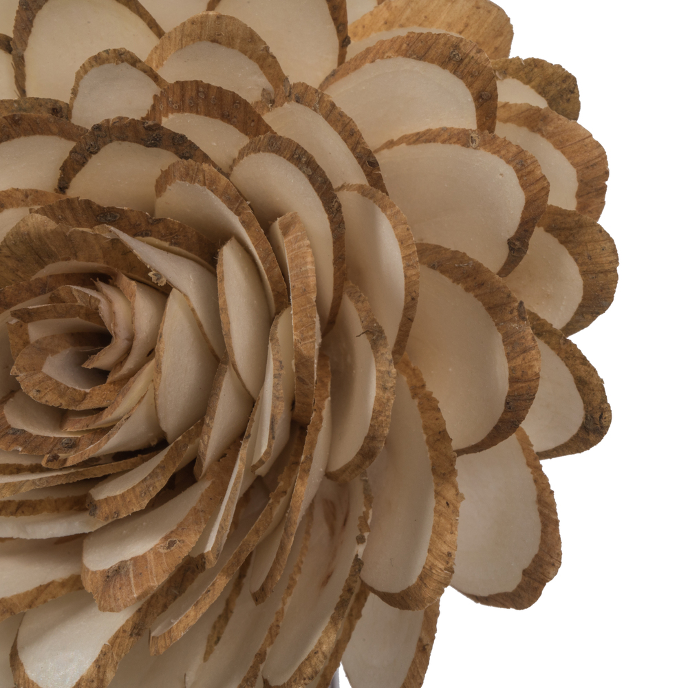 Vickerman 4" Natural Botanicals Dried Sola Flower on Wire Stem
