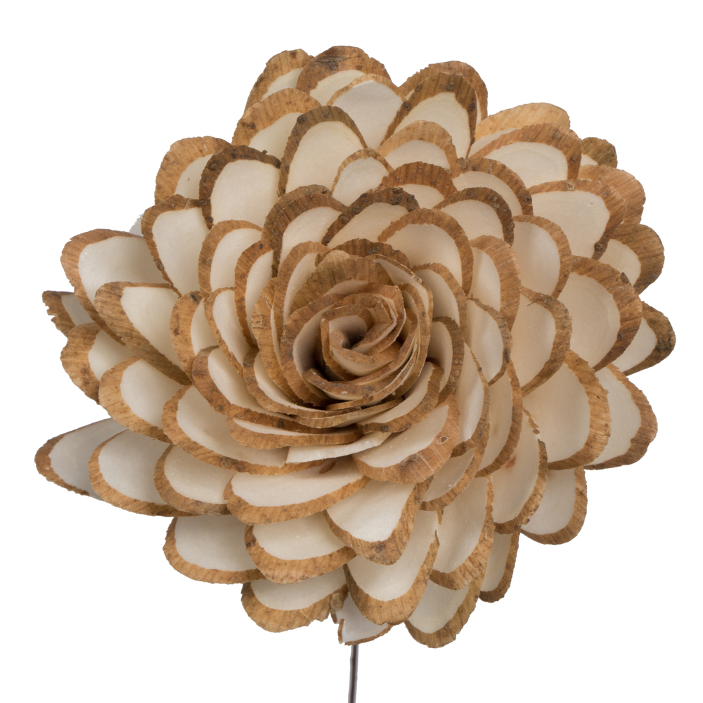 Vickerman 4" Natural Botanicals Dried Sola Flower on Wire Stem