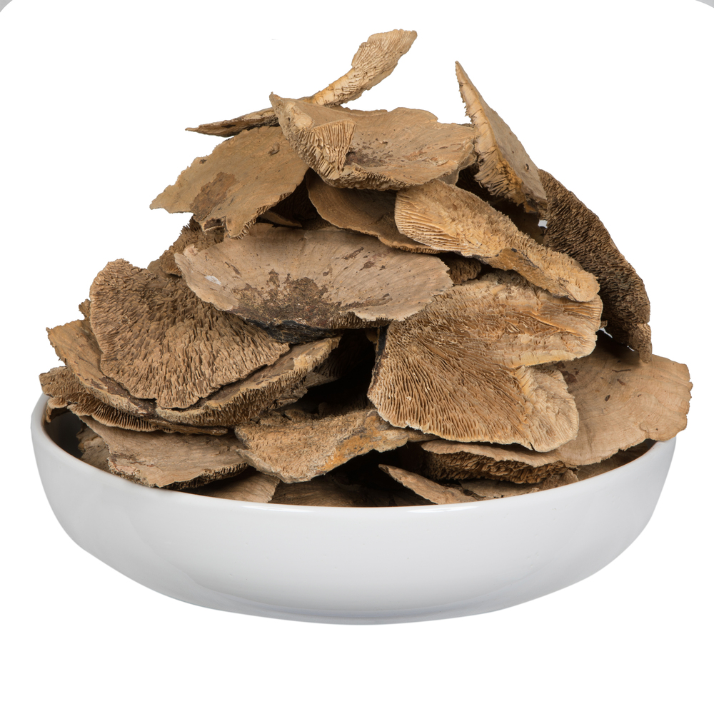 4"-6" Sponge Mushroom Med 50/pk