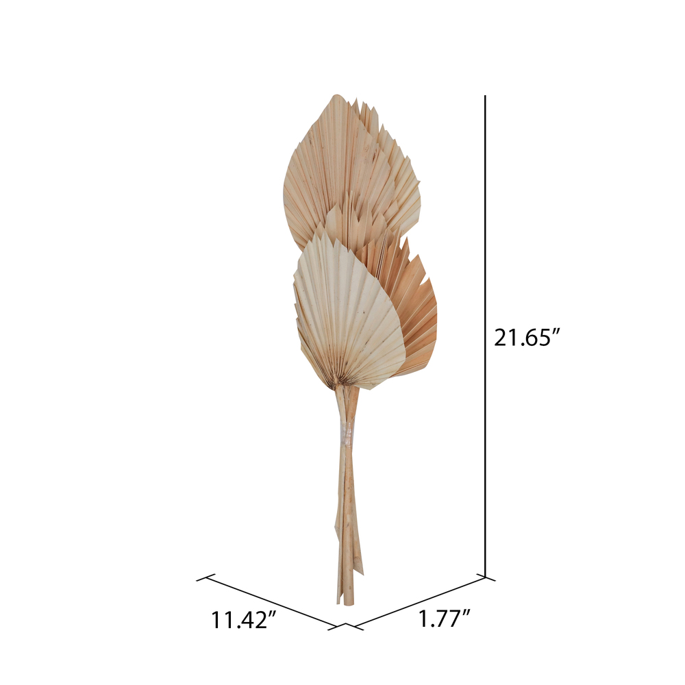 Vickerman Natural Botanicals 21" King Palm Spear, 10/Pk