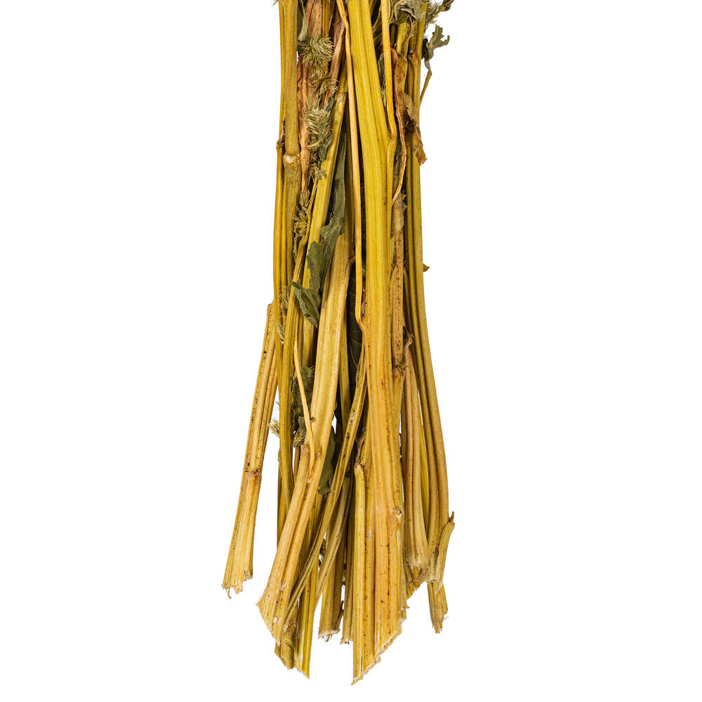 Vickerman 22" Dried Natural Standing Amaranthus Bunch, 3.5 oz