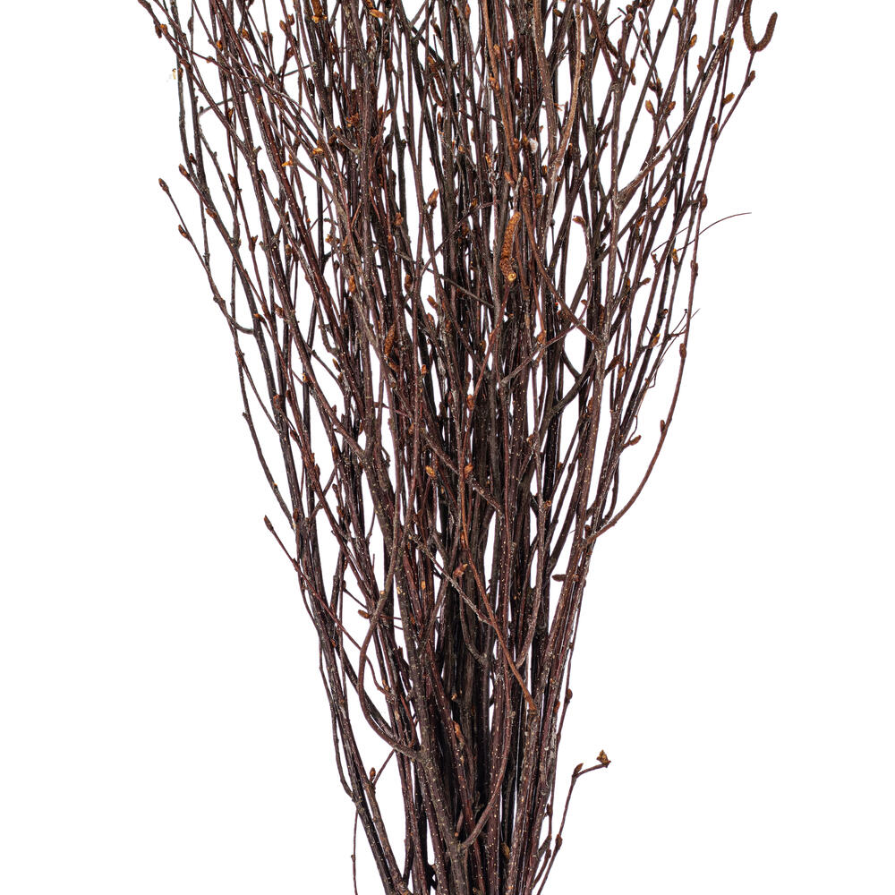 Vickerman Dried Natural Brown Birch Twig