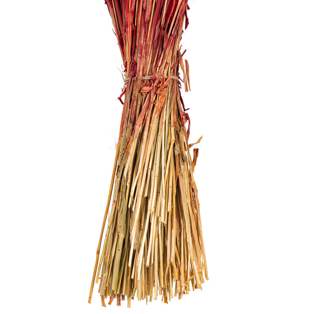 Vickerman 24" Dried Bunny Tail Lagurus Bunch, 3 oz
