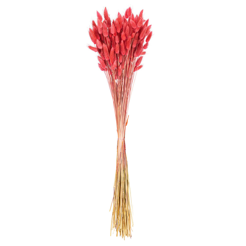 Vickerman 24" Dried Bunny Tail Lagurus Bunch, 3 oz