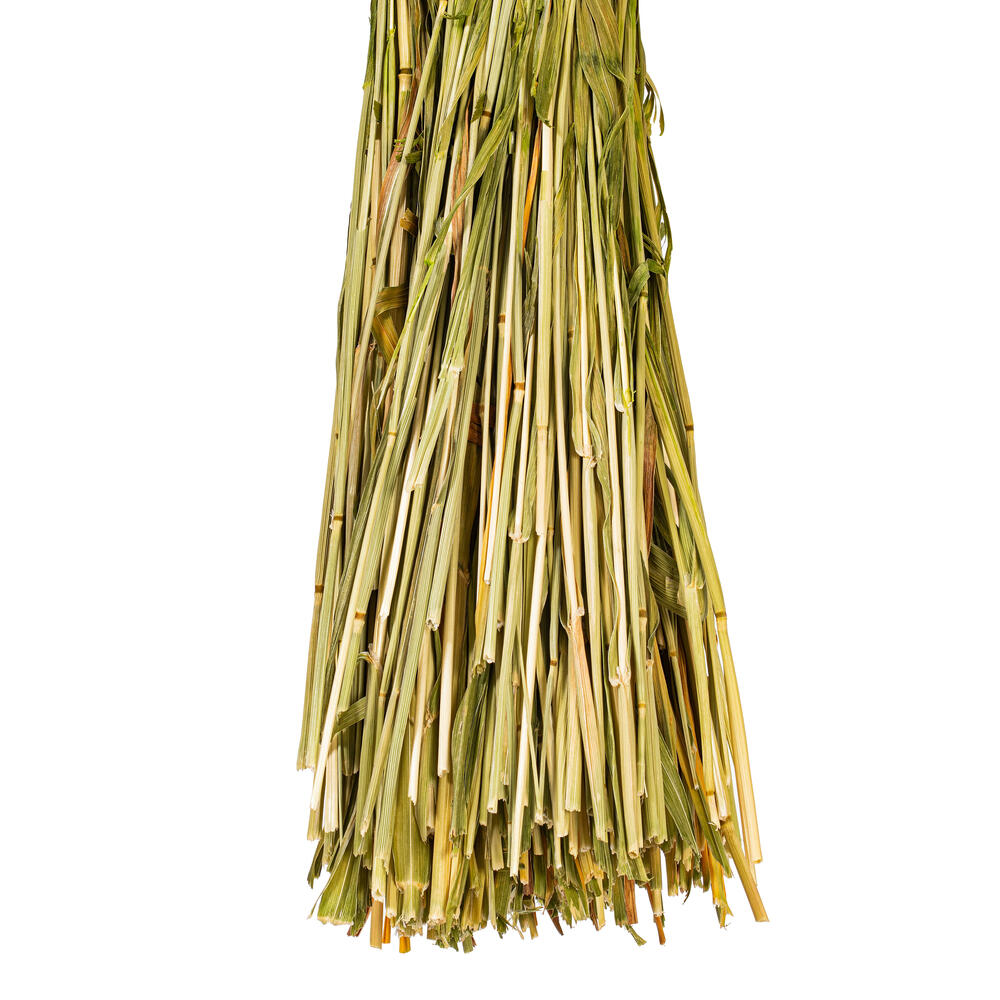 Vickerman 26" Dried Phalaris Bunch, 7 oz