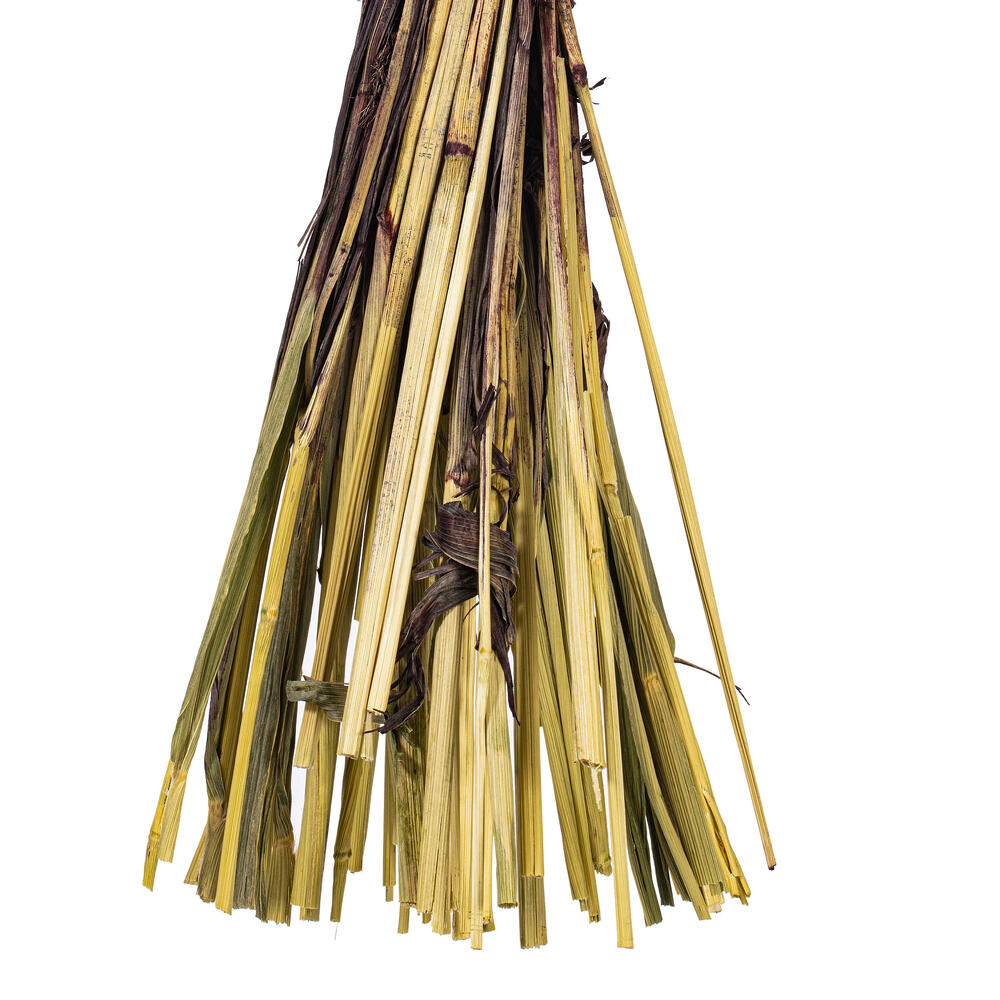 Vickerman 26" Dried Setarea Bunch, 6 oz.