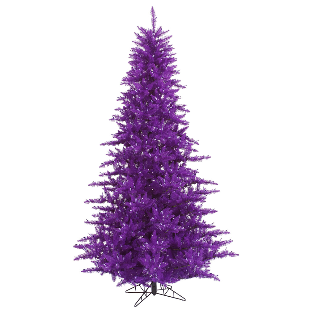 Purple Full