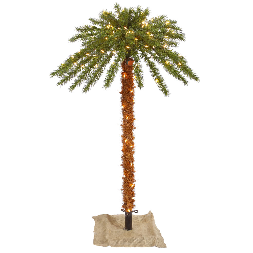 Traditional Palm