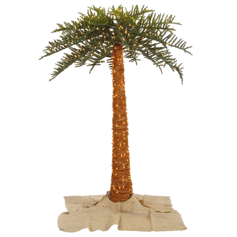 Royal Palm