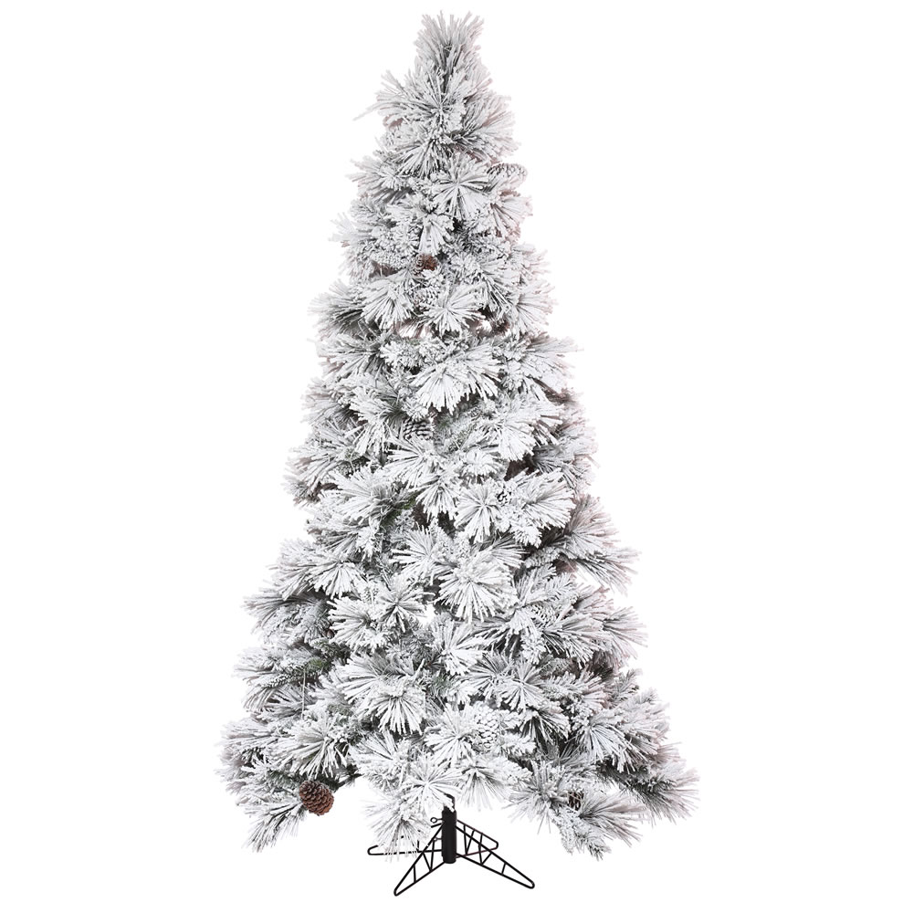 Slim Trees