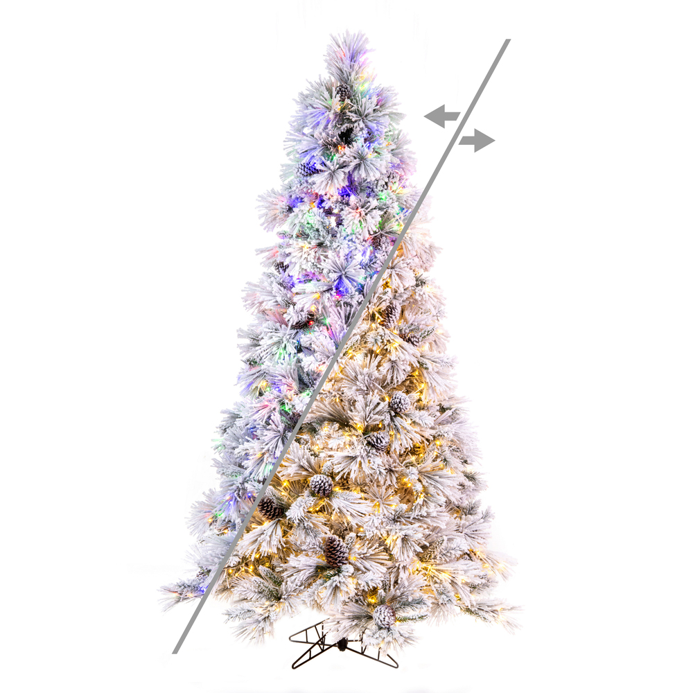 Slim Trees CC