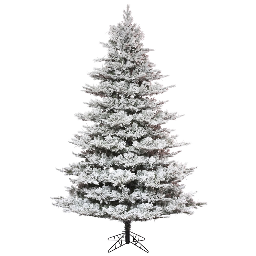 Full Trees