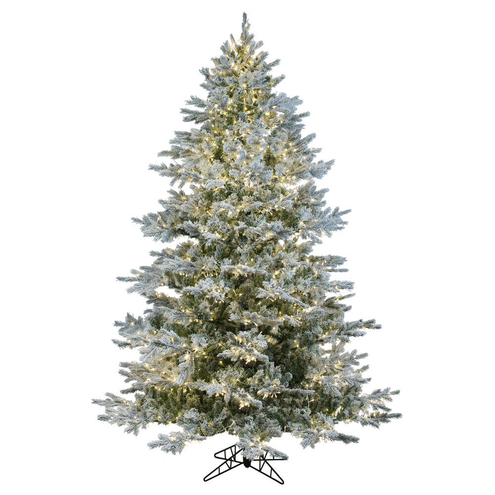 Full Trees CC