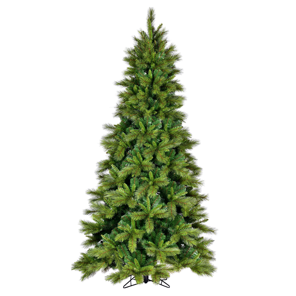 Trees