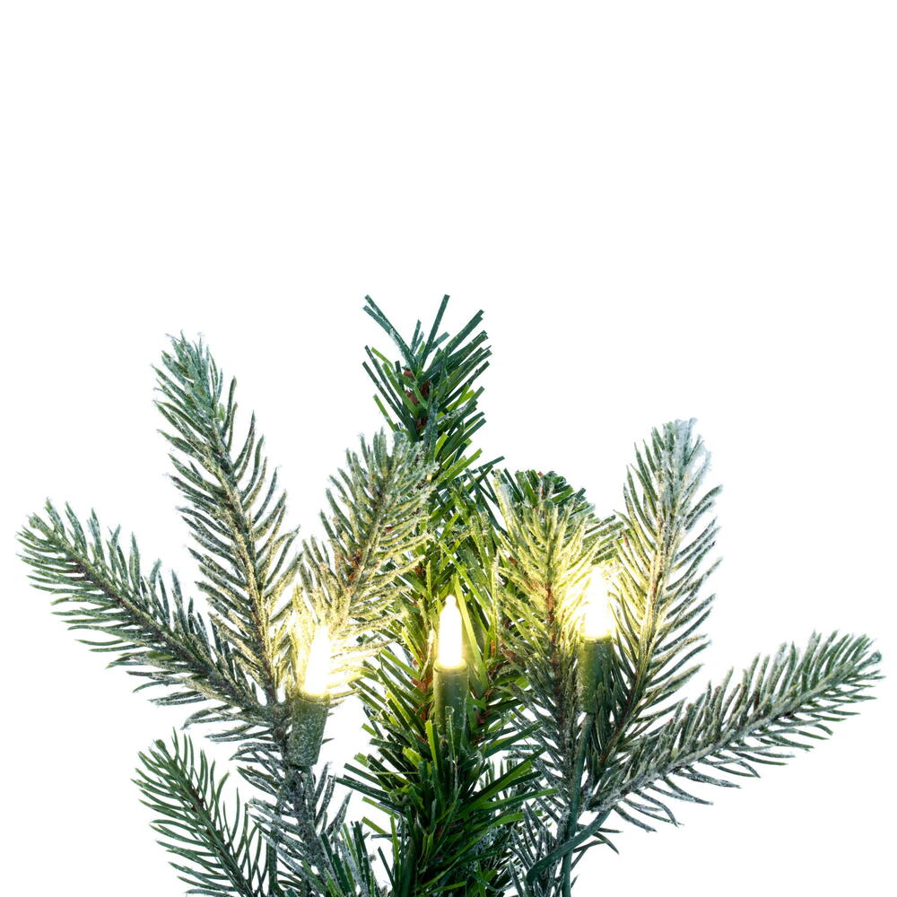 Vickerman Artificial Frosted Douglas Fir Collection
