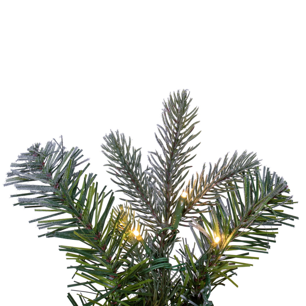 Vickerman Artificial Frosted Douglas Fir Collection