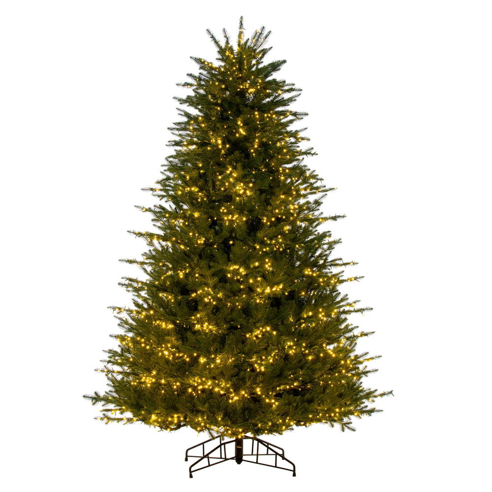 Full Trees