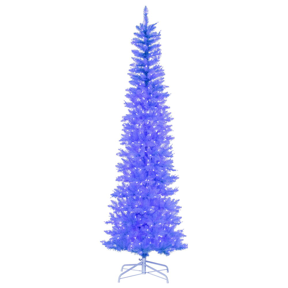 Sky Blue Trees