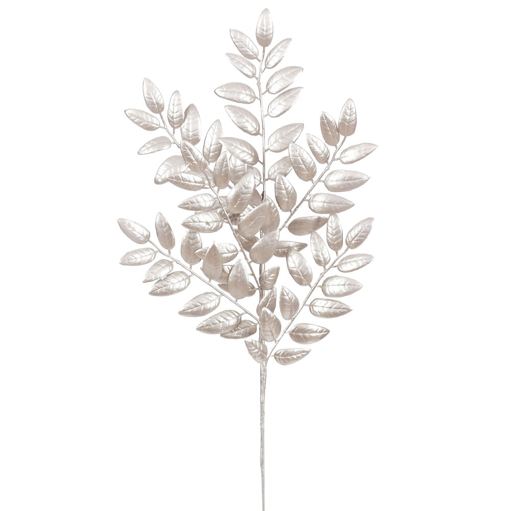 Honey Locust