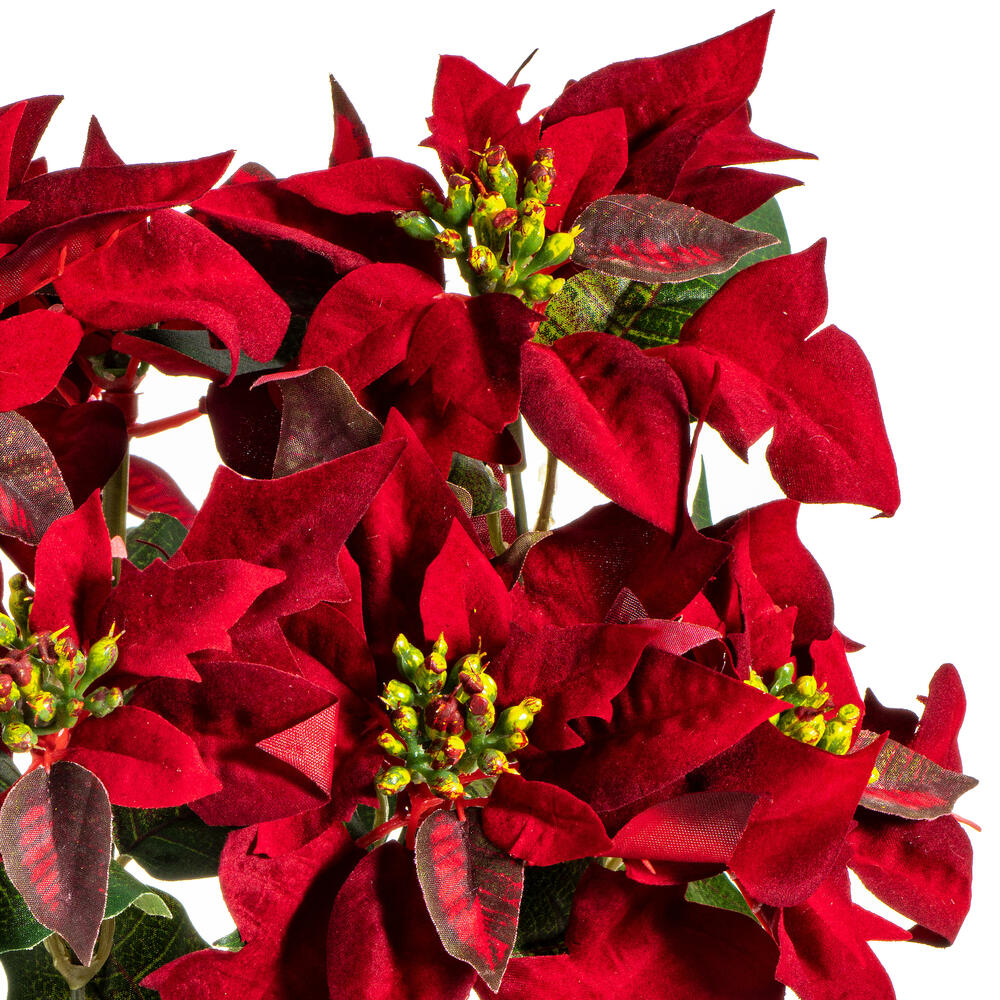 Vickerman 18" Red Poinsettia and Leaf Bush
