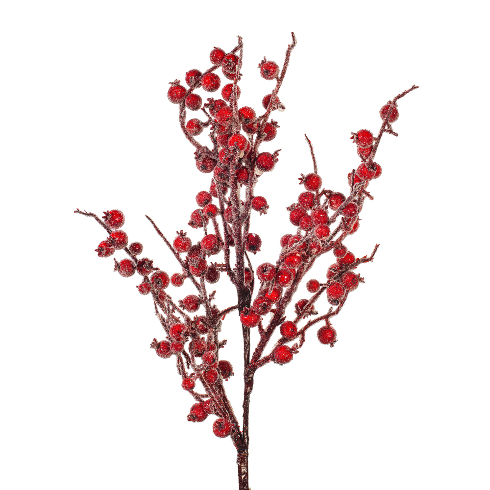 Vickerman 24" Winter Icy Berry Spray