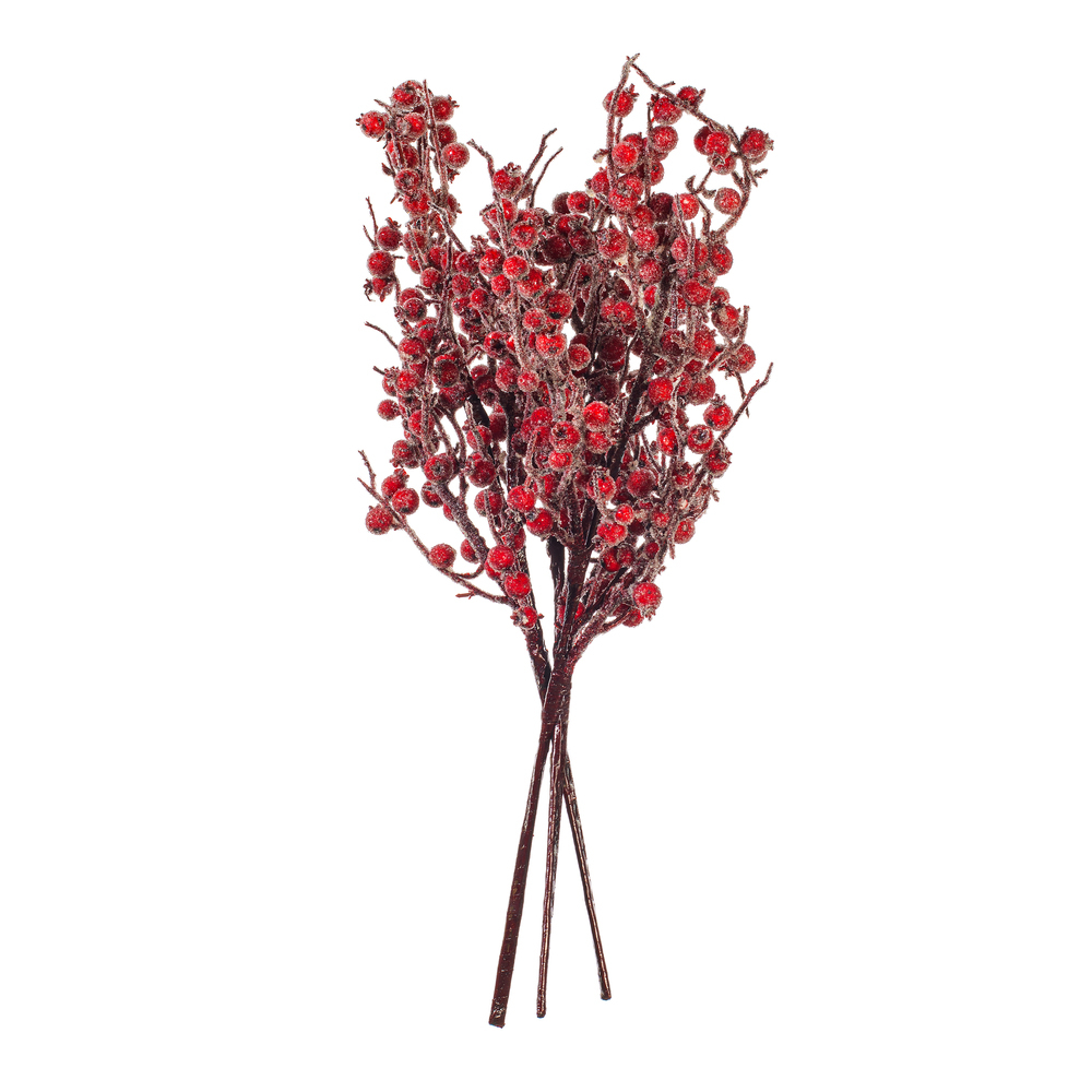 Vickerman 24" Winter Icy Berry Spray
