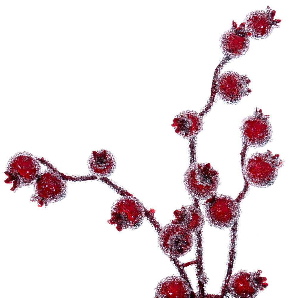 Vickerman 28" Winter Icy Berry Wreath