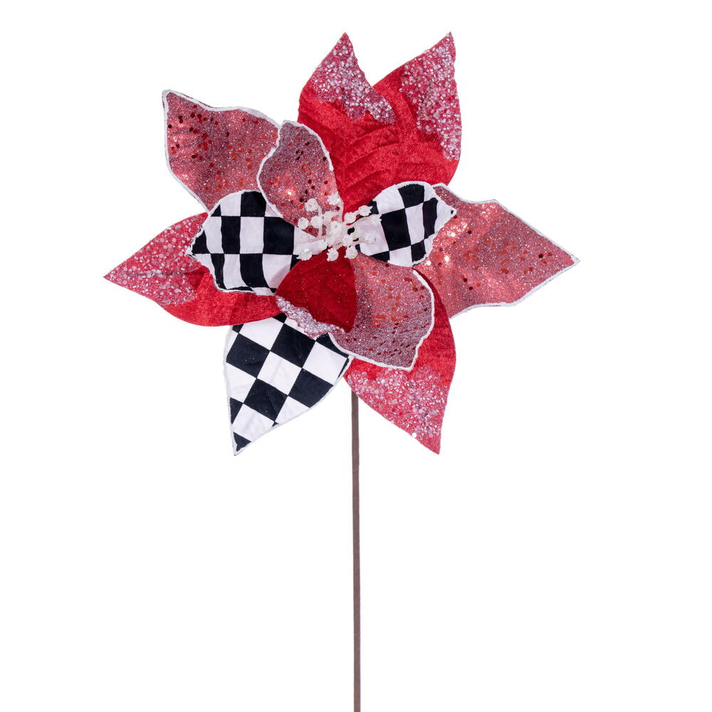 Checkered Poinsettia