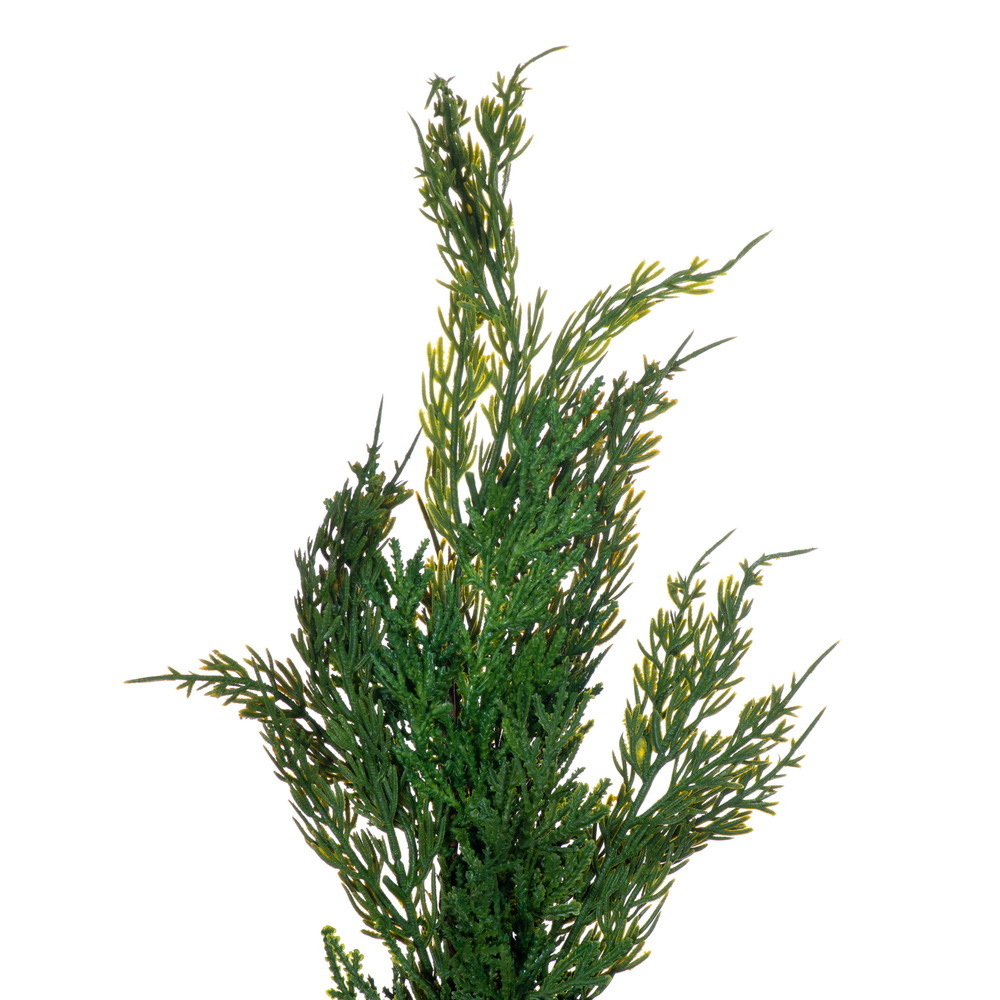Vickerman Green Juniper Series