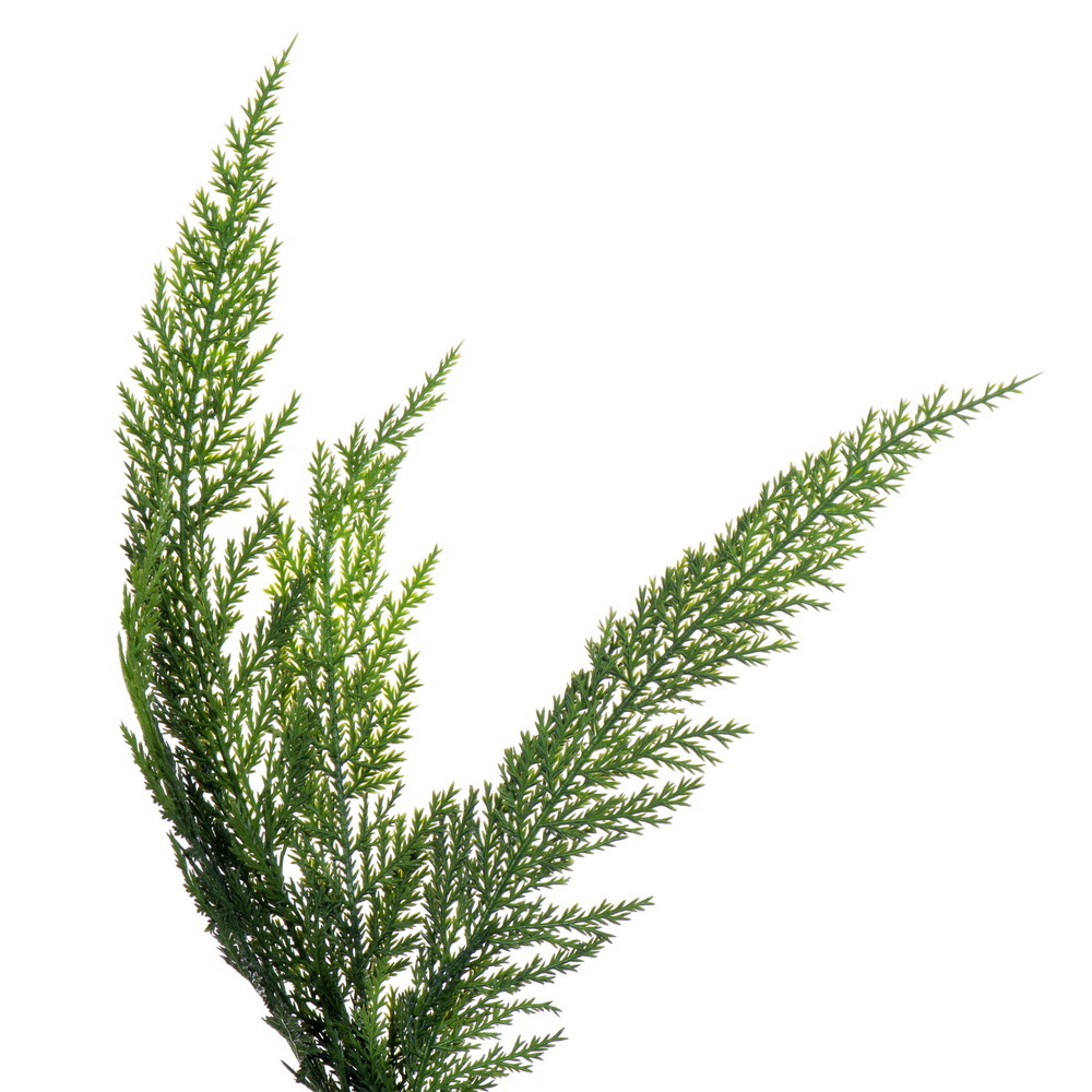 Vickerman Long Stem Cypress Series