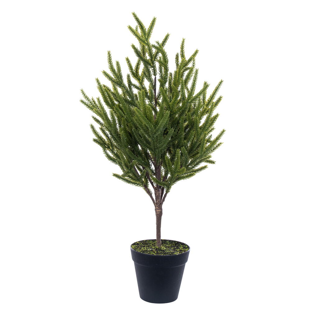 Vickerman Green Norfolk Potted Trees