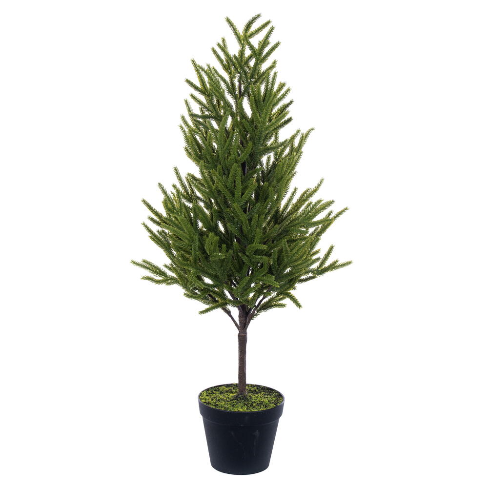 Potted Tree