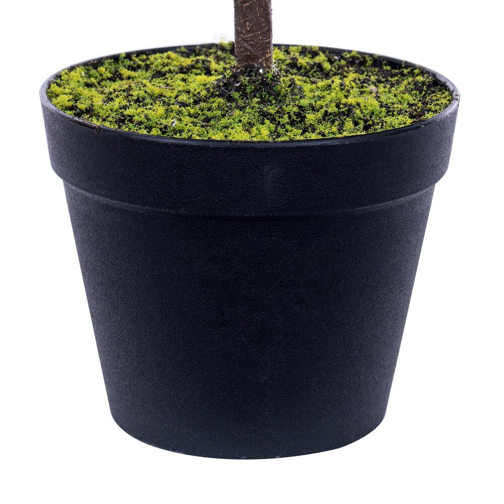 Vickerman Green Norfolk Potted Trees