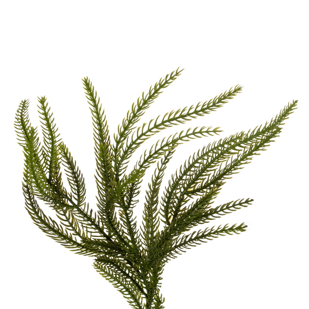 Green Norfolk Pine Heart Wreath Jute