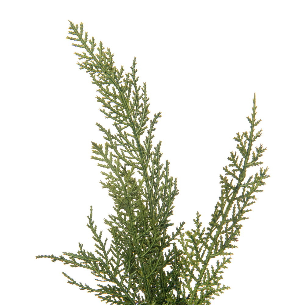 Vickerman Green Cedar Series