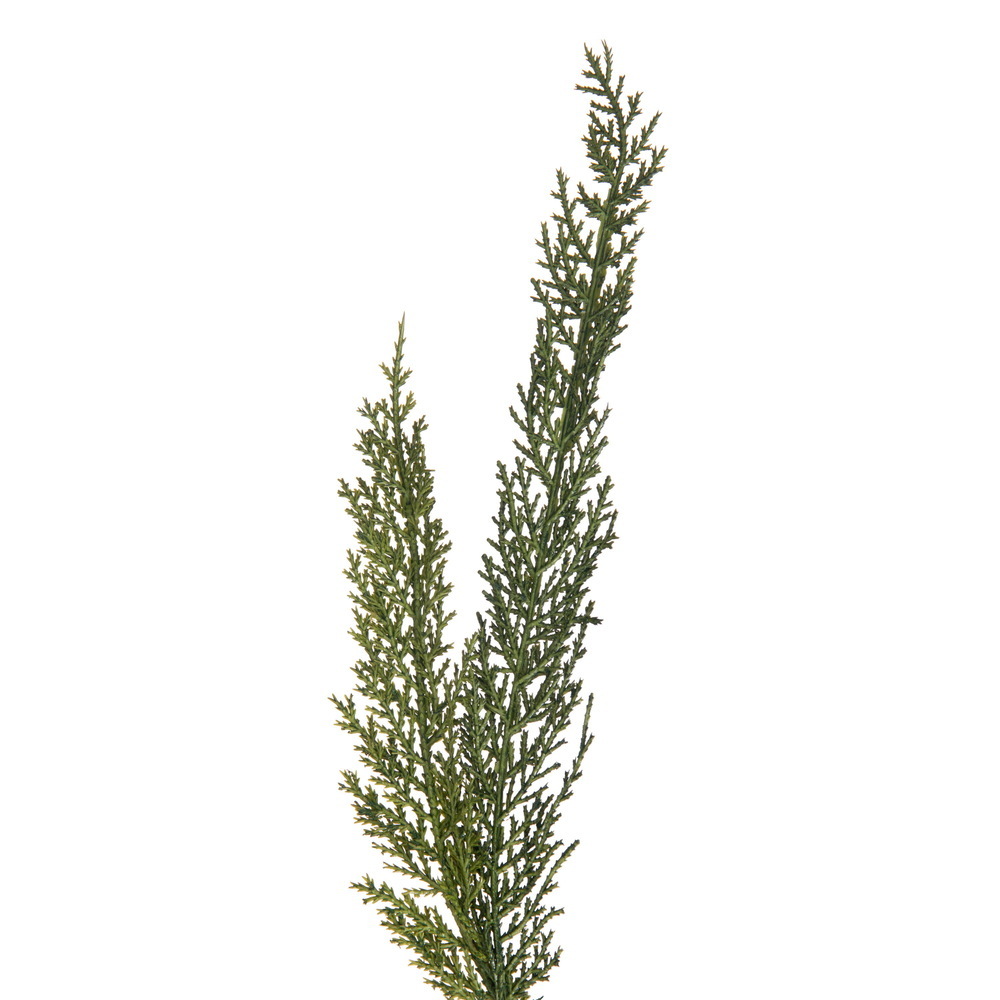 Vickerman Green Cedar Series