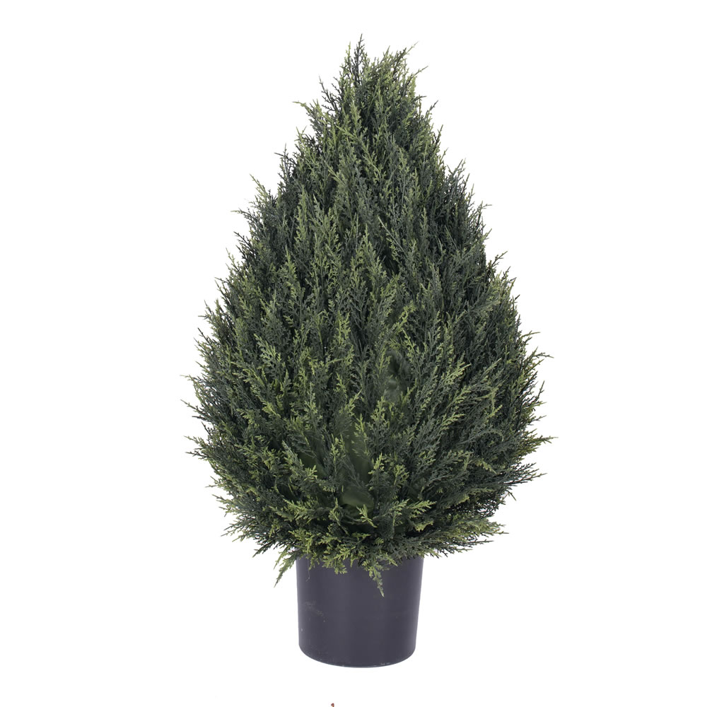 Teardrop Bushes