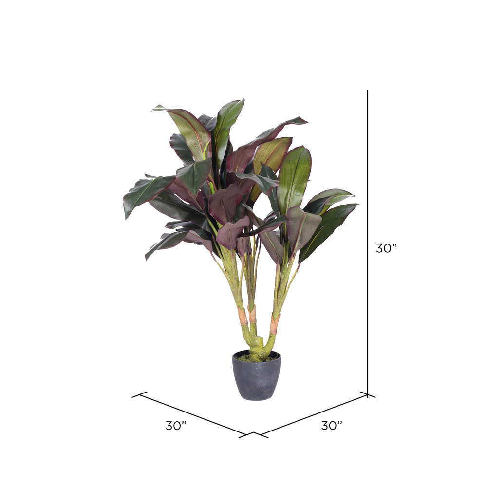 Vickerman 30" Artificial Real Touch Dracaena