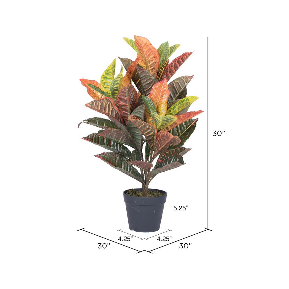 30" Real touch croton  in pot