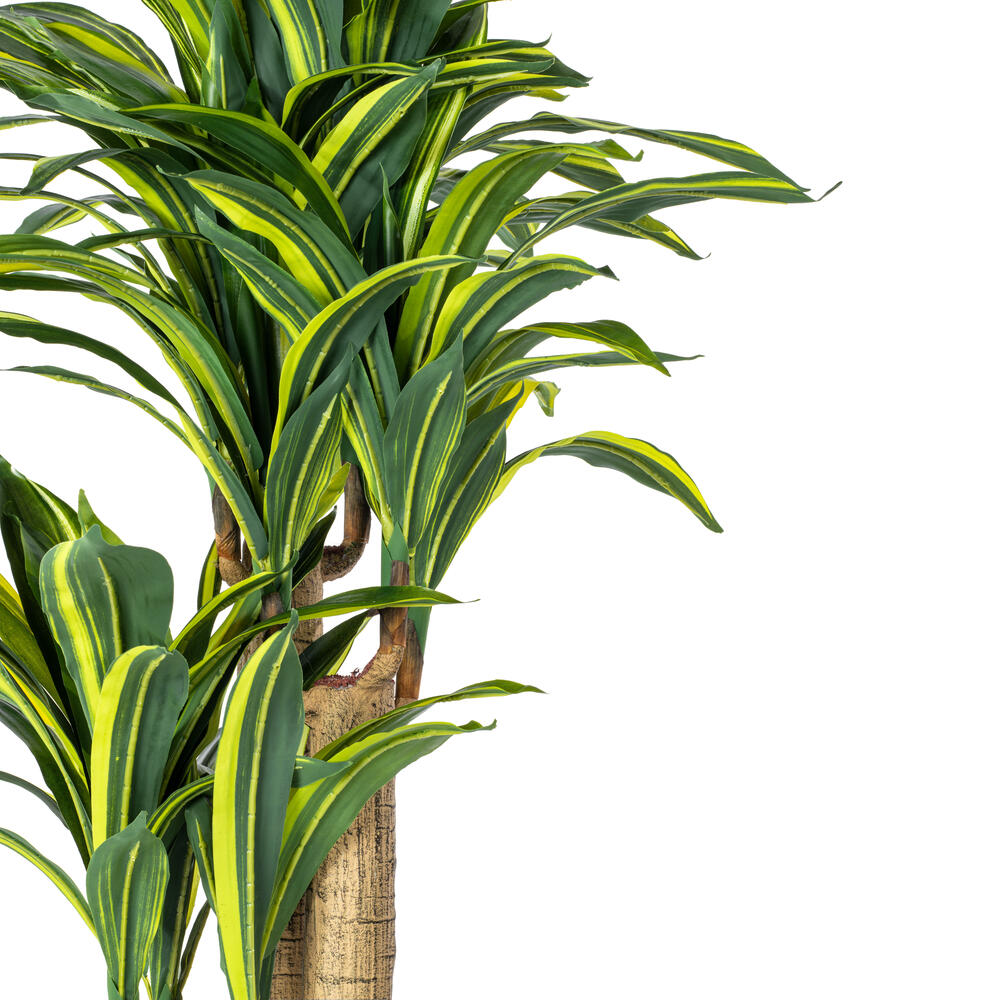 52" RT Dracaena Tree in Black Pot