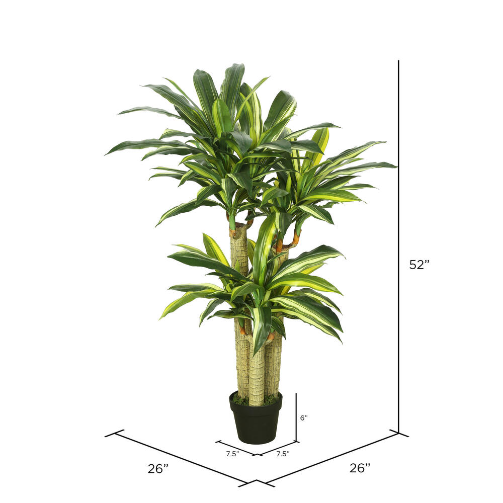 52" RT Dracaena Tree in Black Pot
