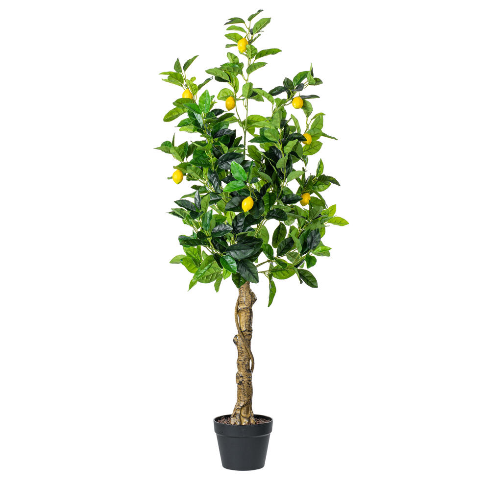 Vickerman Artificial Real Touch Fruit Tree
