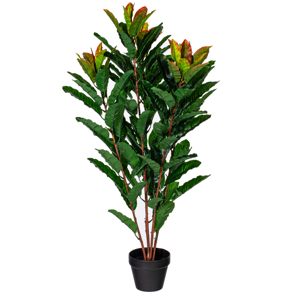 34" Green Myrtle in Pot 125 Lvs Real Tch