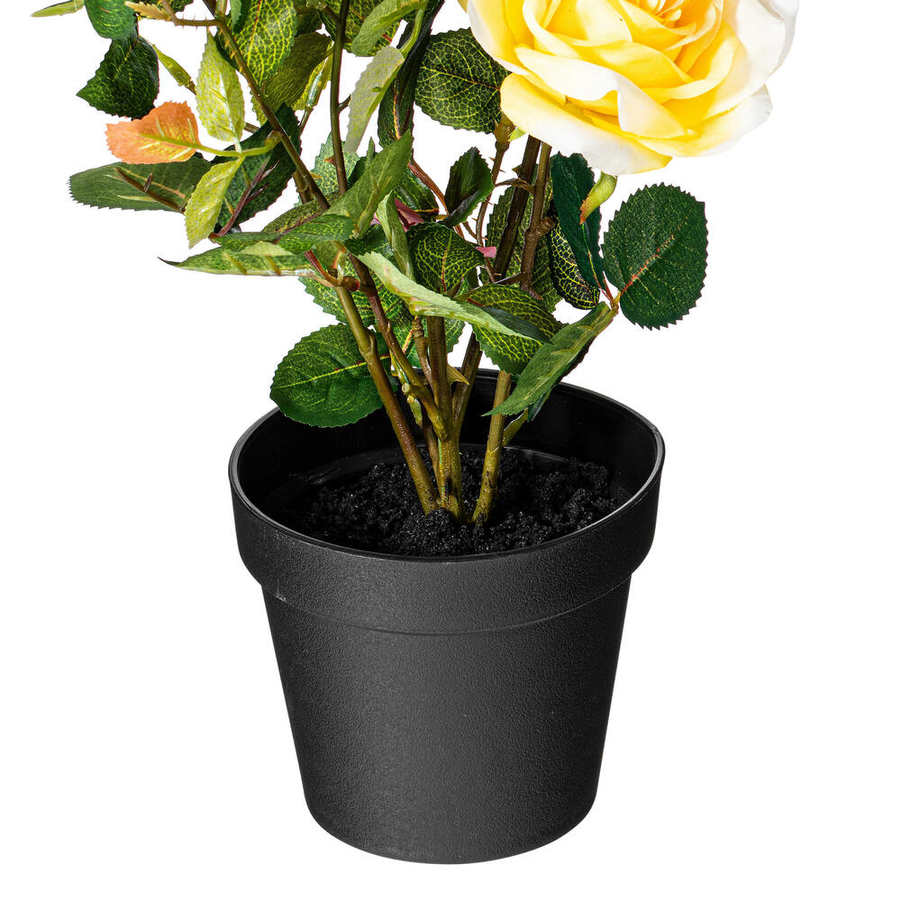 Vickerman 21" Artificial Rose Plant in Pot