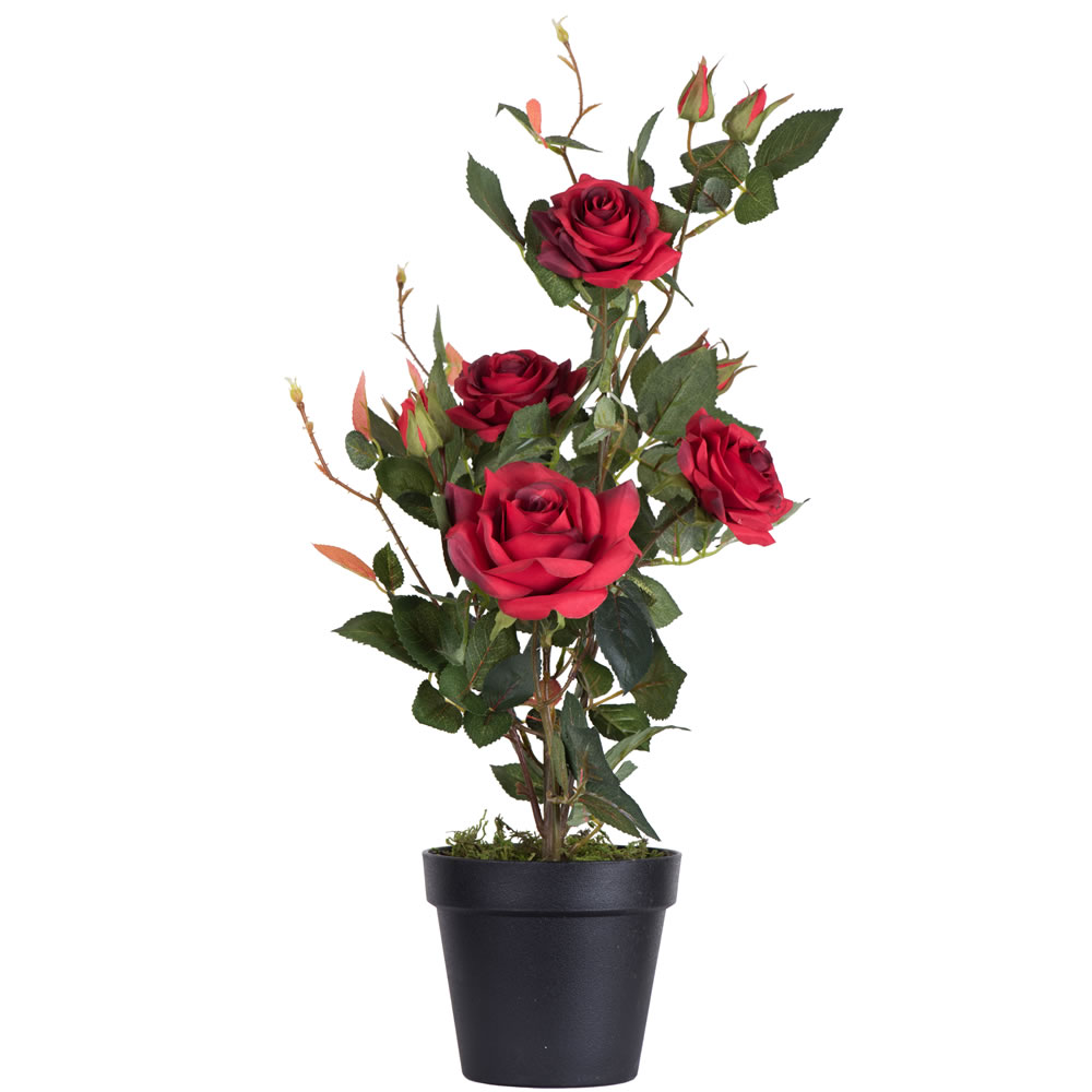 21" Potted Roses