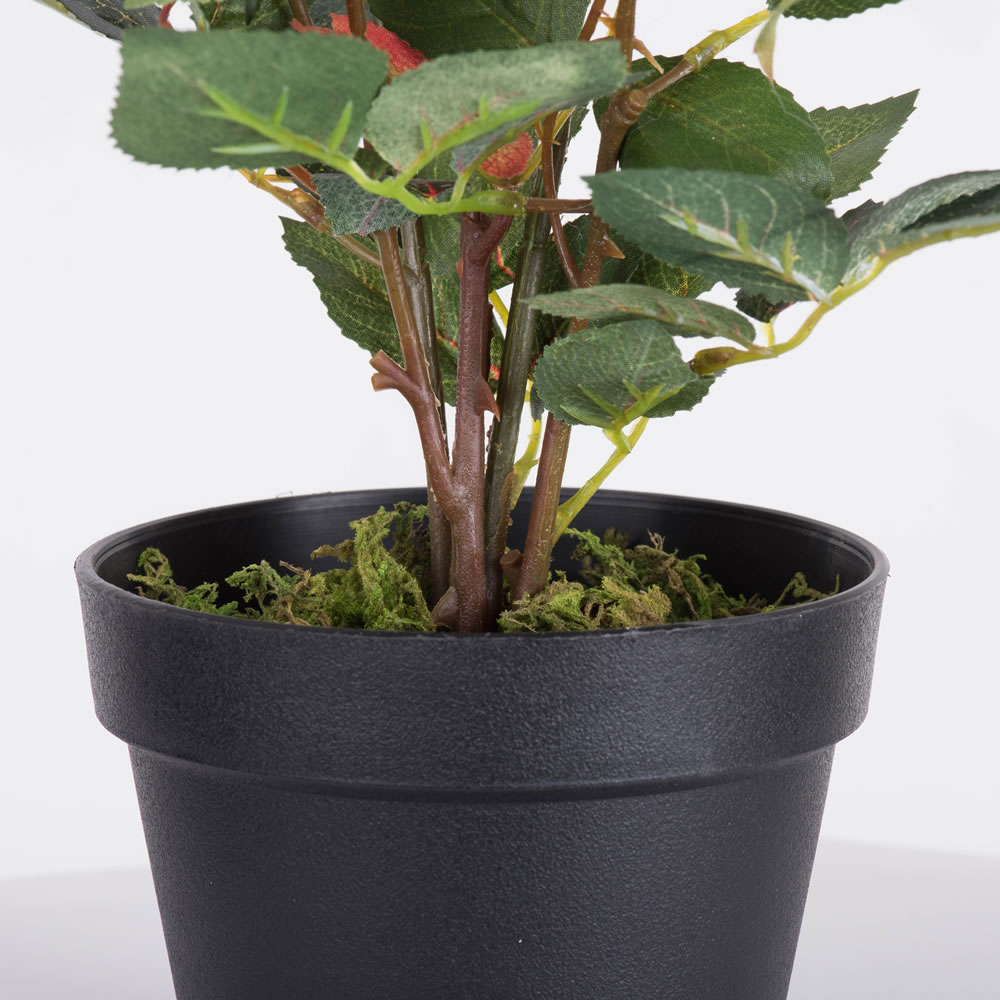 Vickerman 21" Artificial Rose Plant in Pot