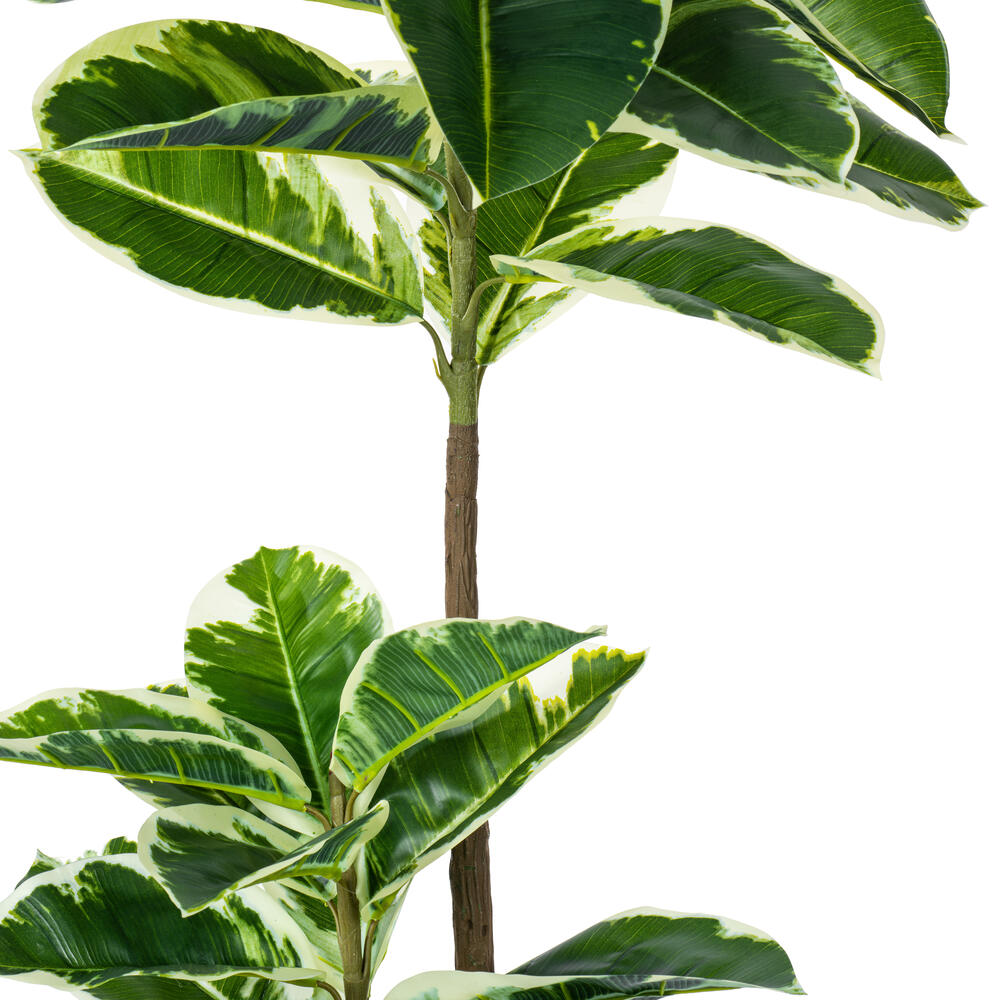 Vickerman Artificial Potted Real Touch Dieffenbachia