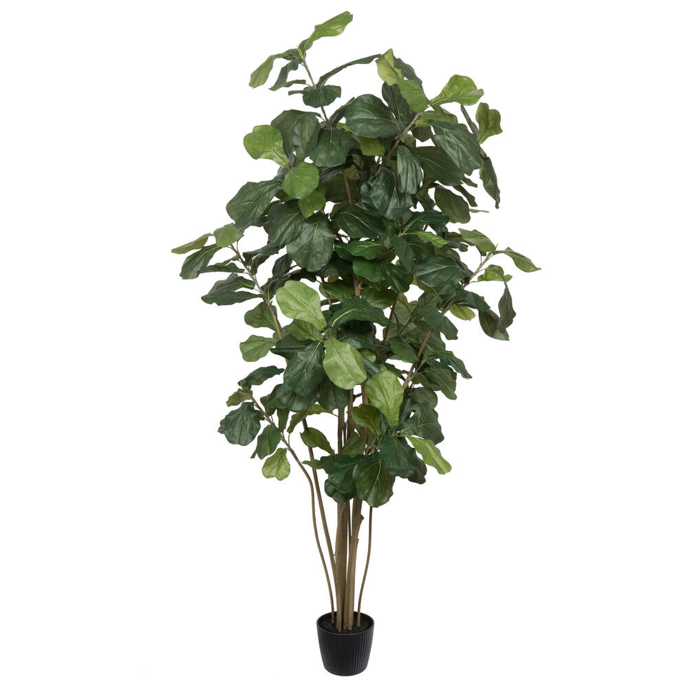 Extra Full Trees