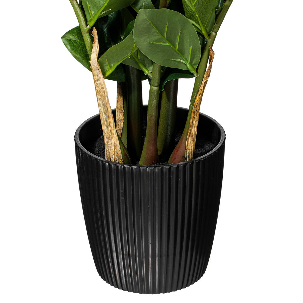 Vickerman Potted Green Zamifolia Bush